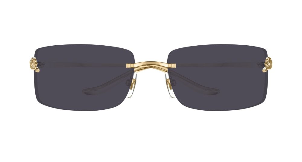 Cartier CT0503S 001 71 очки с/з