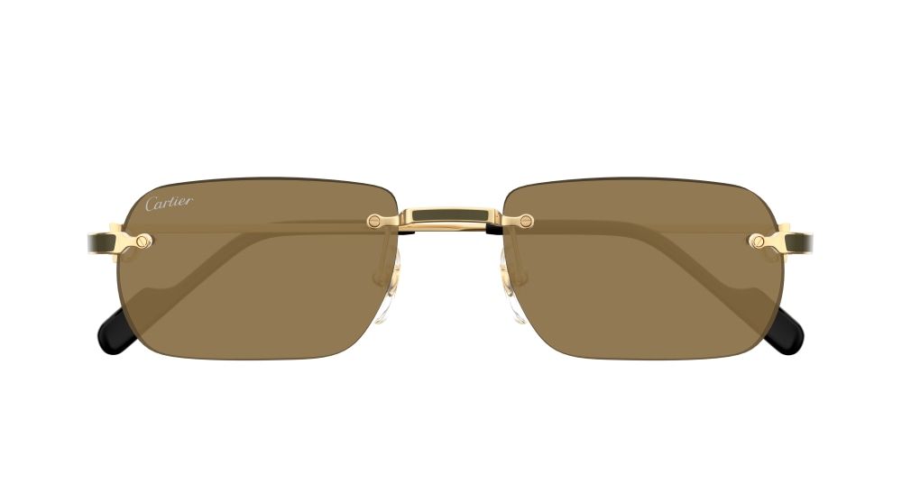 Cartier CT0498S 005 55 очки с/з